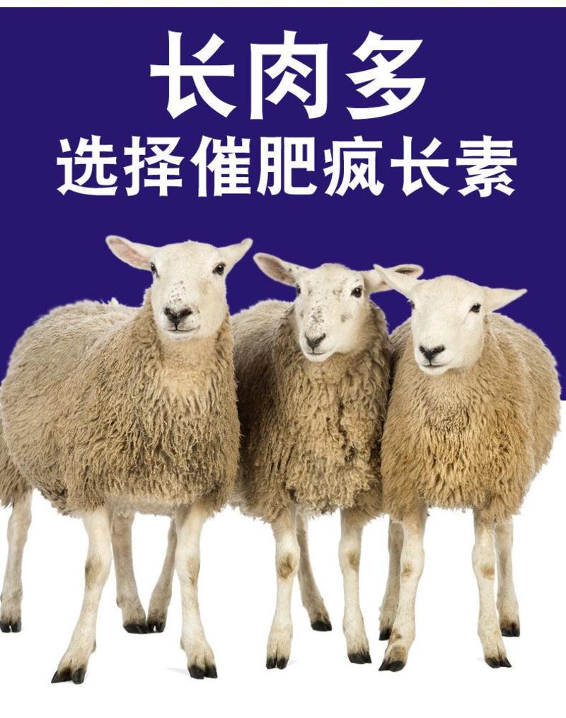 羊催肥羊用催长素促生长牛羊增肥羊微量元素羊用料精喂牛羊肌