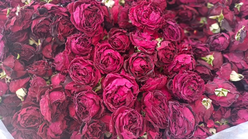 冻干墨红玫瑰，冻干玫瑰花，云南墨红