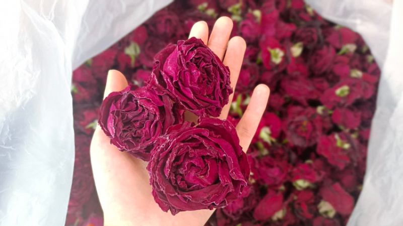 冻干墨红玫瑰，冻干玫瑰花，云南墨红
