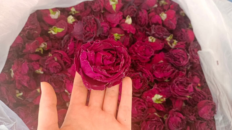 冻干墨红玫瑰，冻干玫瑰花，云南墨红
