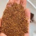 菜籽粕，蛋白高适用于养殖厂饲料厂欢迎选购