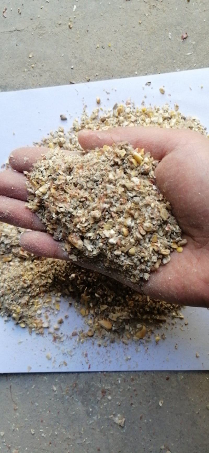 碎玉米，烘干7粮左适用于养猪牛羊鸡鸭鹅专用