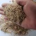 碎玉米，烘干7粮左适用于养猪牛羊鸡鸭鹅专用