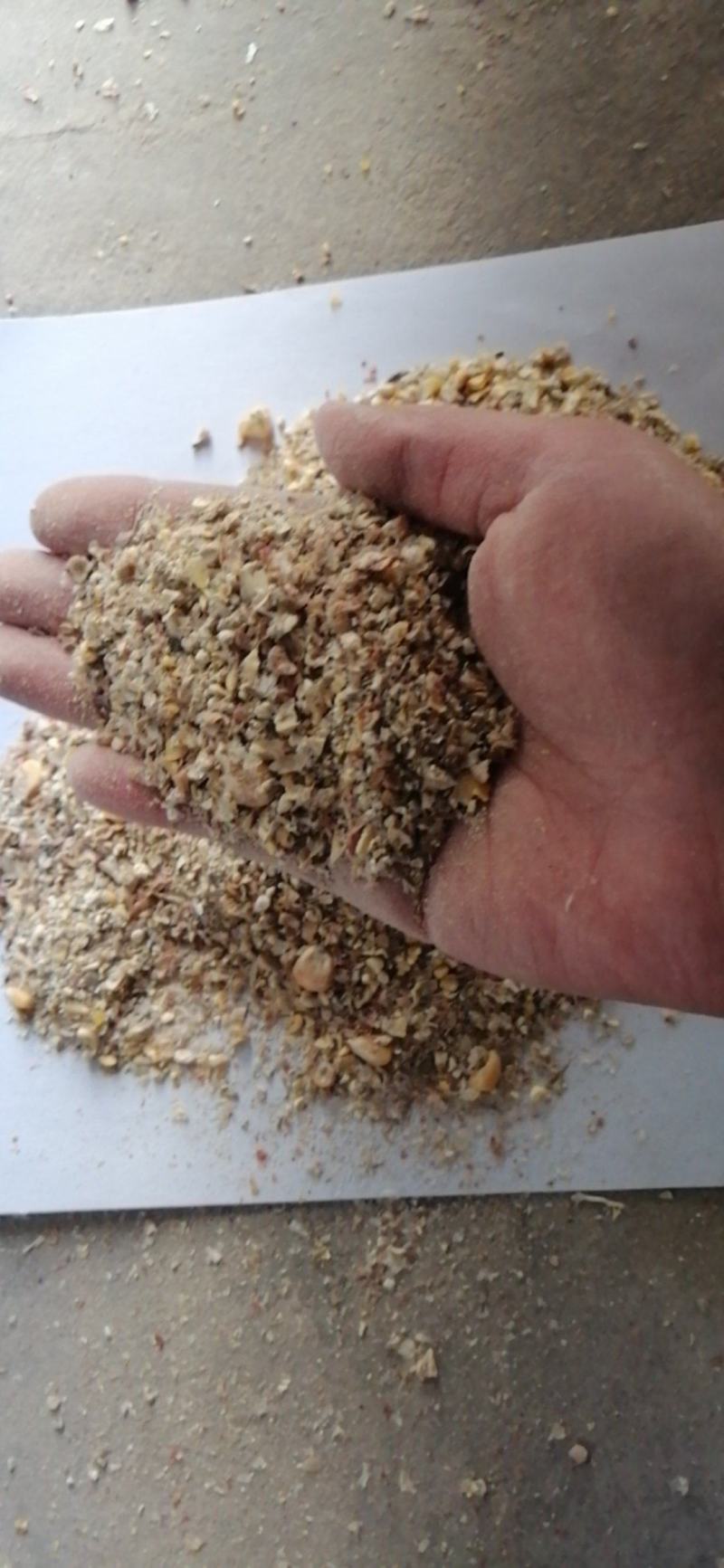 碎玉米，烘干7粮左适用于养猪牛羊鸡鸭鹅专用