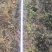 三季蔷薇蔷薇苗爬墙梅藤本玫瑰种植基地质量保证