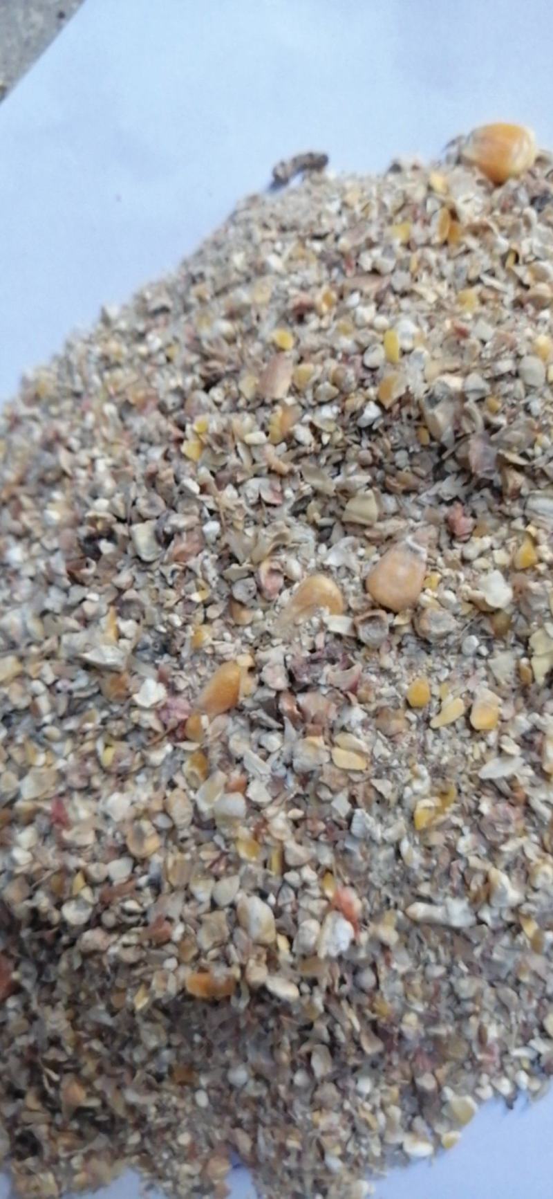 碎玉米，烘干7粮左适用于养猪牛羊鸡鸭鹅专用