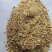碎玉米，烘干7粮左适用于养猪牛羊鸡鸭鹅专用