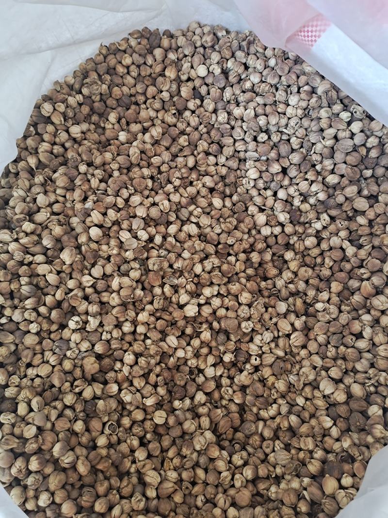 白豆蔻白蔻白蔻仁香料火锅底料正宗地道白豆蔻调味