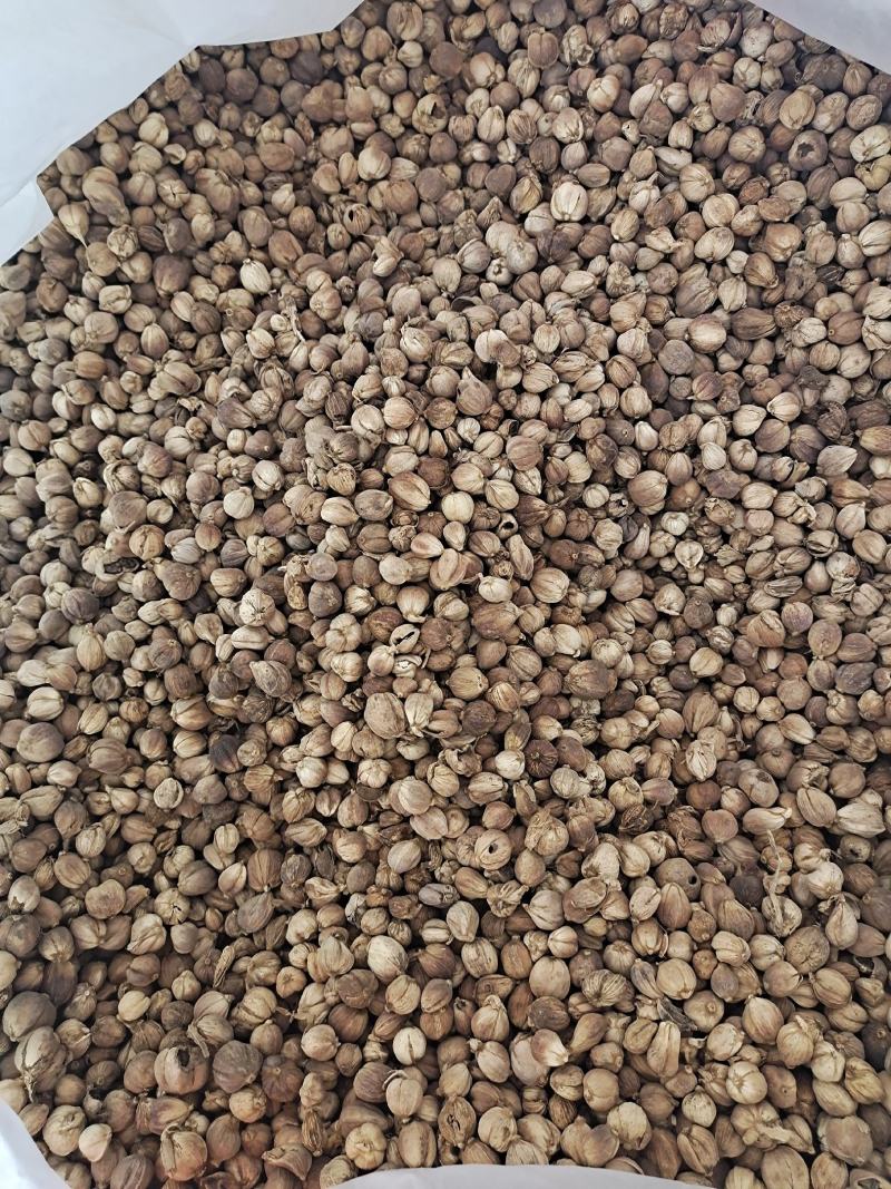 白豆蔻白蔻白蔻仁香料火锅底料正宗地道白豆蔻调味