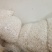 通草大通草小通草规格齐全干净无硫磺通草煲汤
