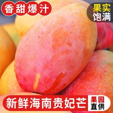 海南贵妃芒【一件代发】3/5/9对接电商/微商/直播平台