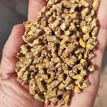 玉米草颗粒，适用于养殖厂牛羊鸭子鹅营养高常年供应！