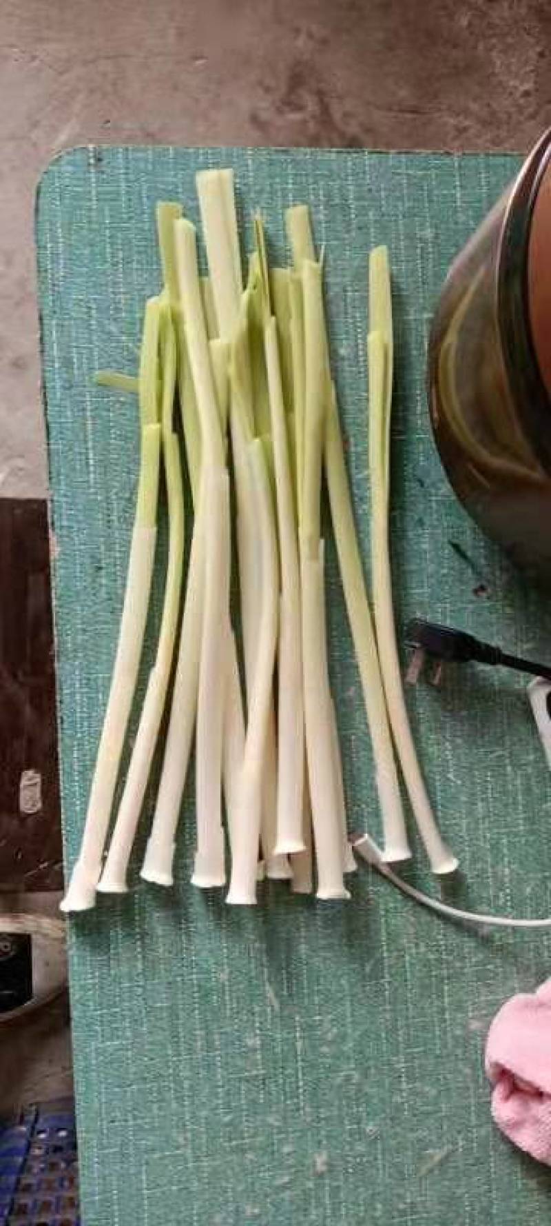 四季经营蒲菜，1-3斤真空包装的精品蒲菜，物美价廉全国发