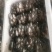 【精品鲜平菇】小黑平菇灰平菇鲜平菇产地直供可视频看货