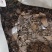 花生油饼蛋白高适用于养殖厂饲料厂常年供应欢迎选购