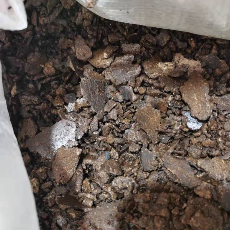 花生油饼蛋白高适用于养殖厂饲料厂常年供应欢迎选购