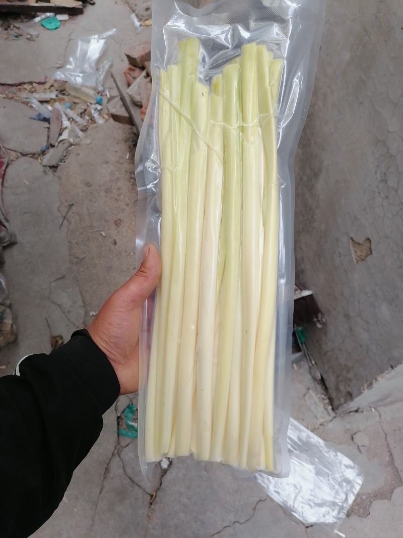 大量供应新鲜蒲菜，主要经营1斤2斤3斤真空包装的精品菜
