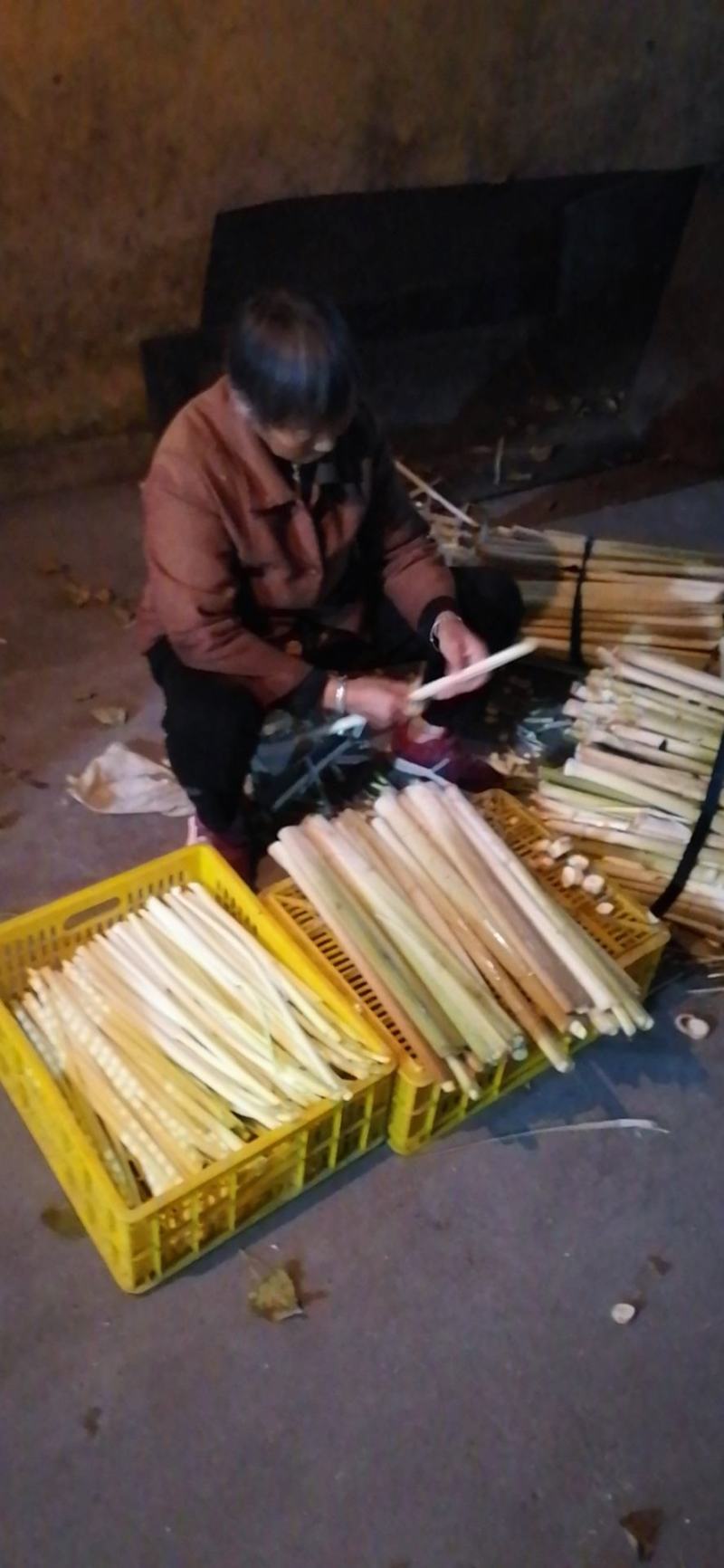 大量供应新鲜蒲菜，主要经营1斤2斤3斤真空包装的精品菜
