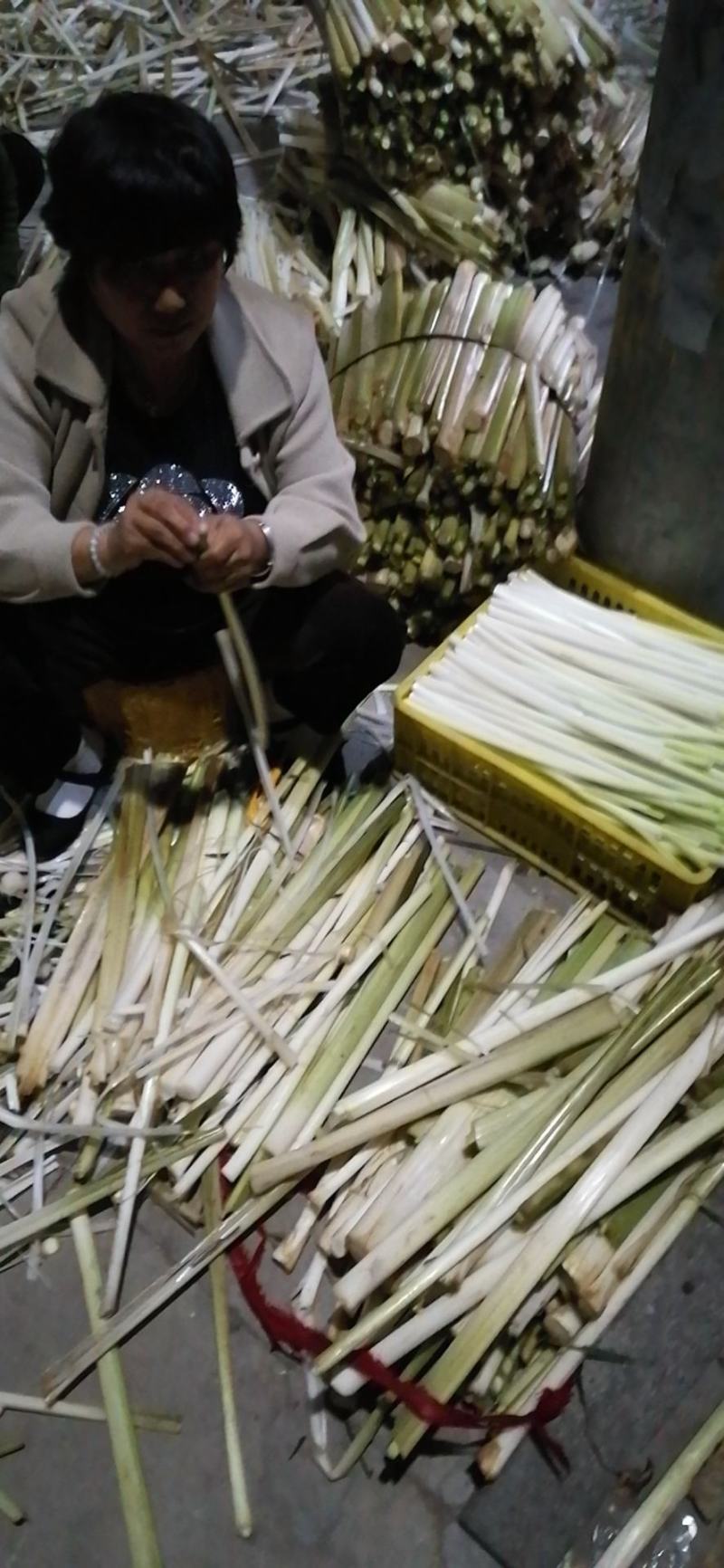 四季供应新鲜蒲菜物美价廉，寻找各地合作商