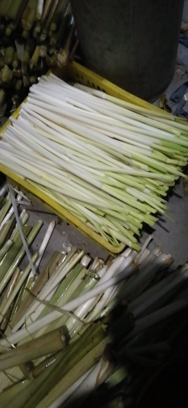 四季供应新鲜蒲菜物美价廉，寻找各地合作商