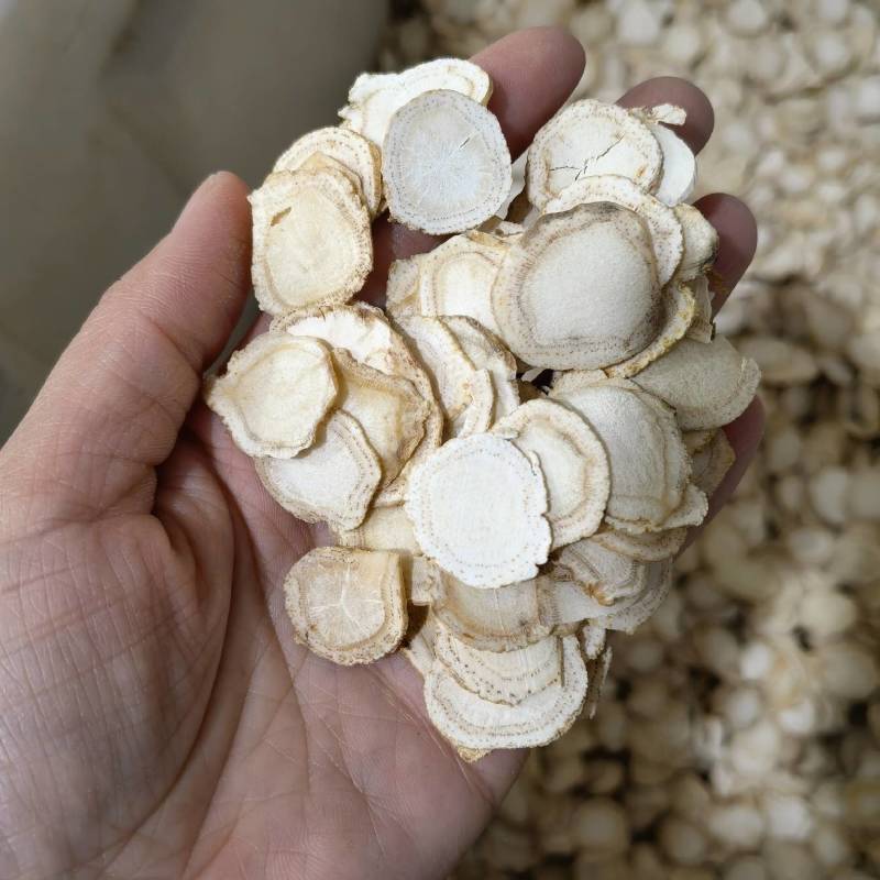 西洋参片1.8片形好看均匀圆片产地吉林实图拍摄