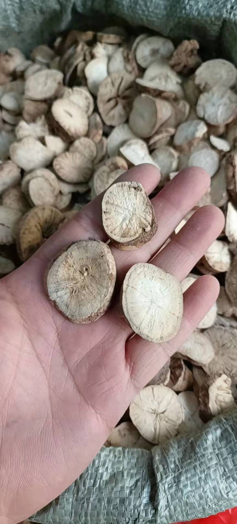 防己粉防己干品江西防己产地直发无添加手工切片