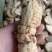 防己粉防己干品江西防己产地直发无添加手工切片