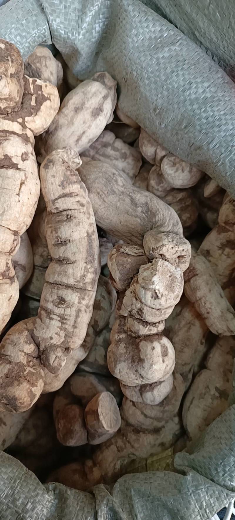 防己粉防己干品江西防己产地直发无添加手工切片