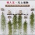 空气精灵之老人须靠空气成长，保质保量，产地直发