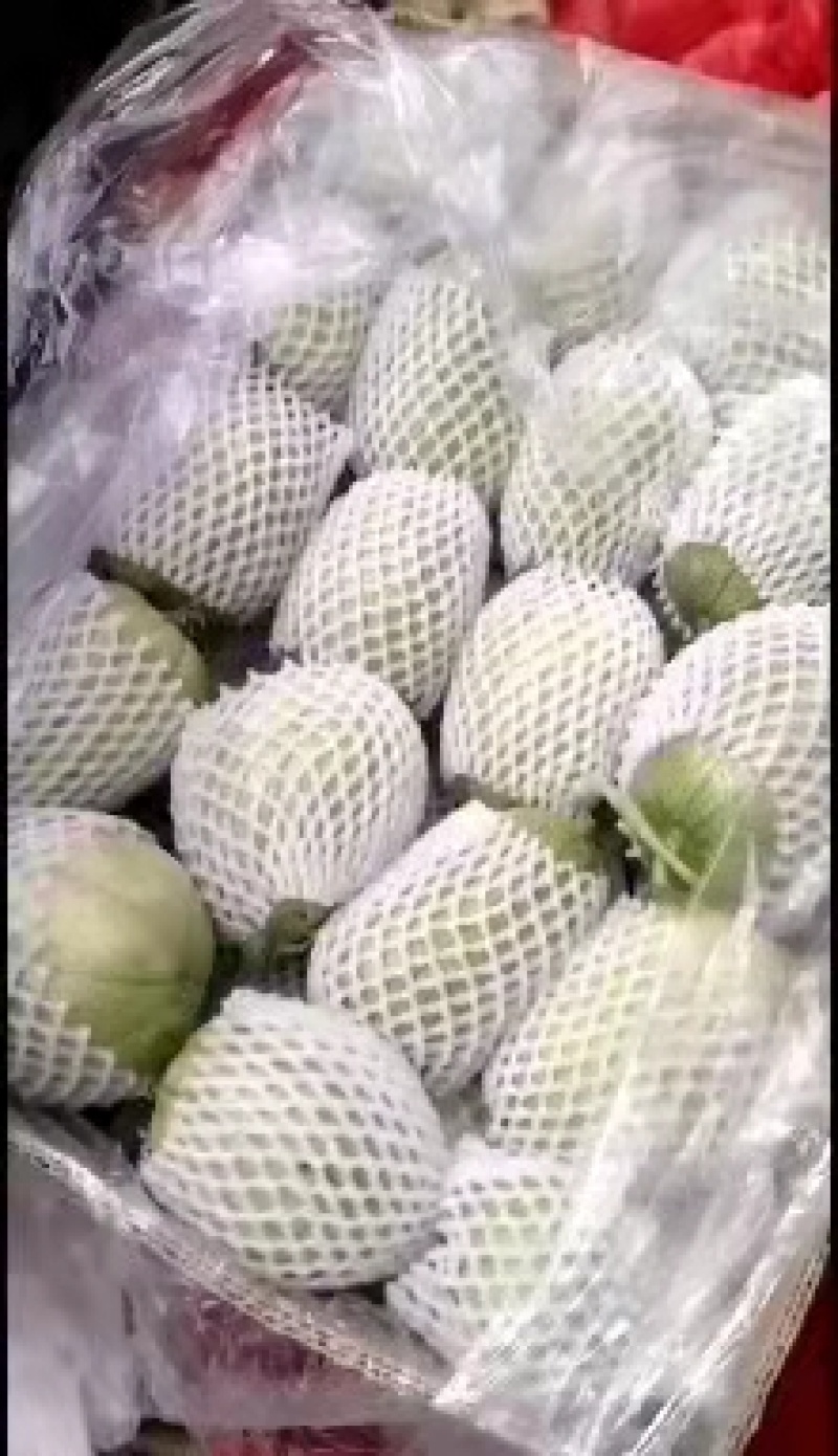 陕西渭南，大荔，蒲城。新鲜新姑娘大量现货，口感好，颜色亮