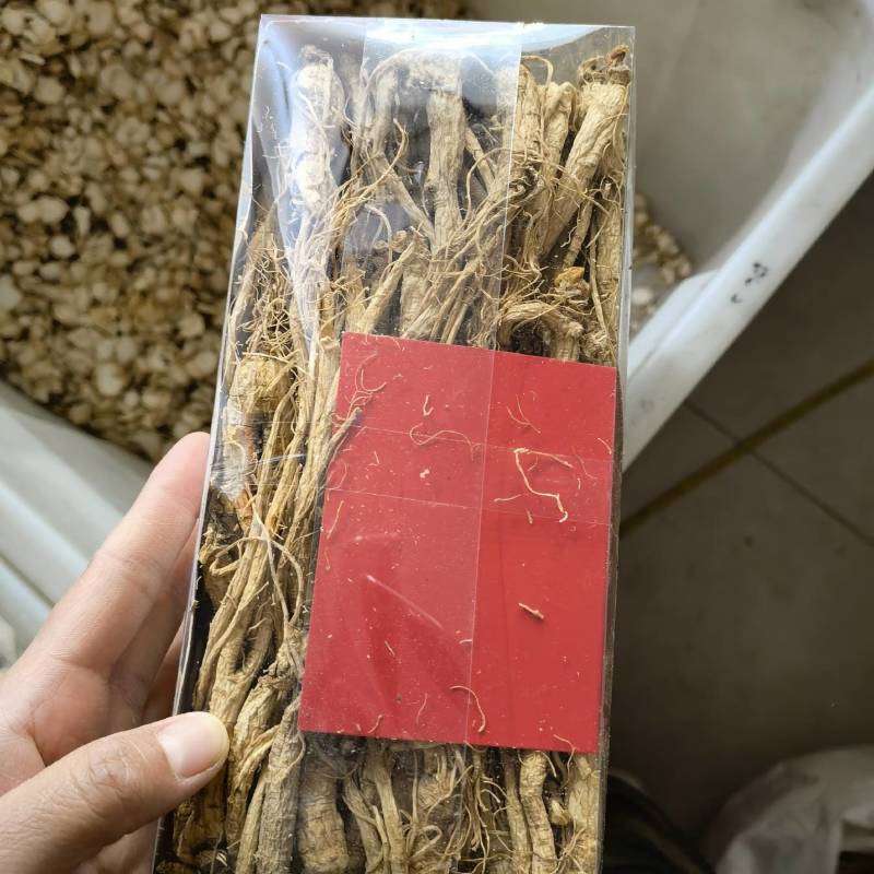 西洋参个35支产地吉林今天新货大小均匀重在品质