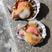 扇贝烧烤、海鲜自助扇贝山东威海栉孔红贝（刺贝）产地