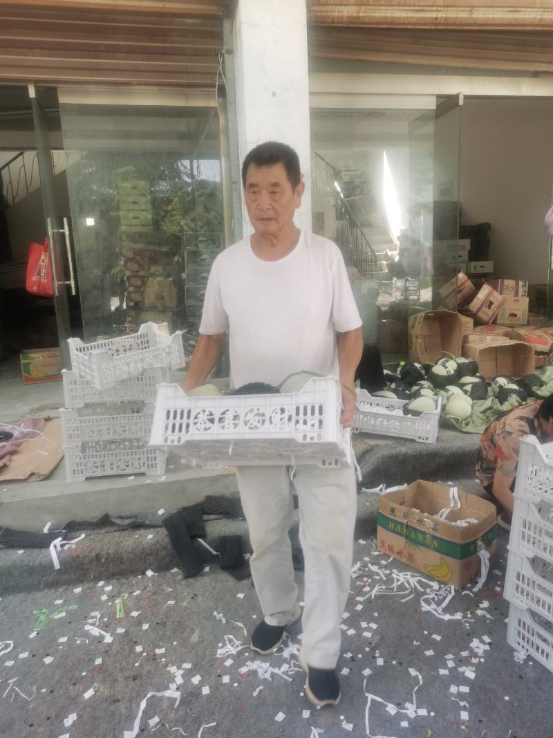 一瓜一藤，瓜香甜，软糯，口感独特，这就是海阳网纹瓜的特性