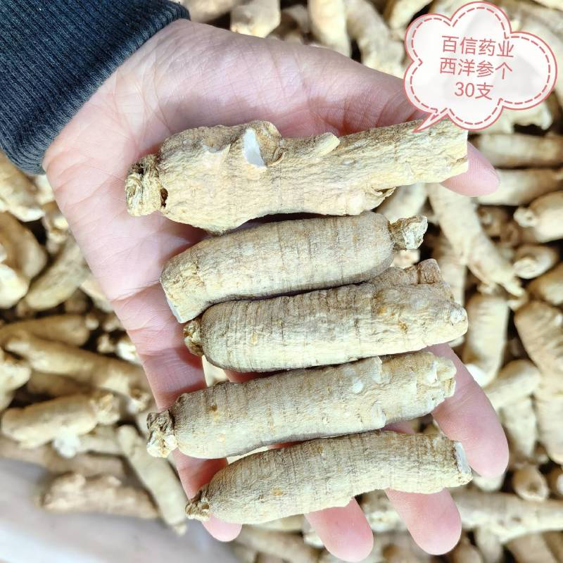 人参白须参今年新货个头均匀重在品质物美价廉