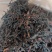 【精品】2025野生古树野生红茶，古树红茶，一手货源
