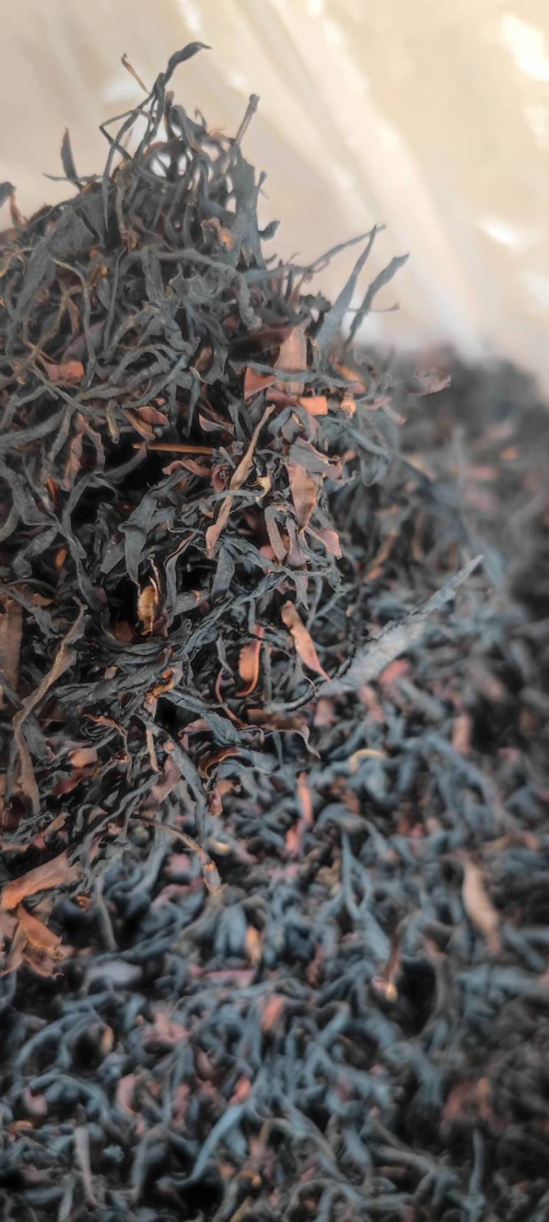 【精品】2025野生古树野生红茶，古树红茶，一手货源