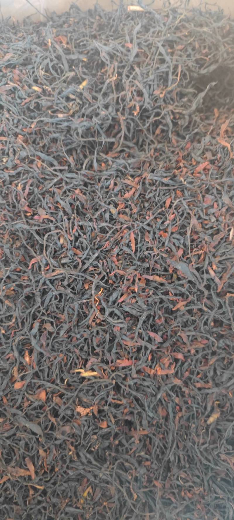【精品】2025野生古树野生红茶，古树红茶，一手货源