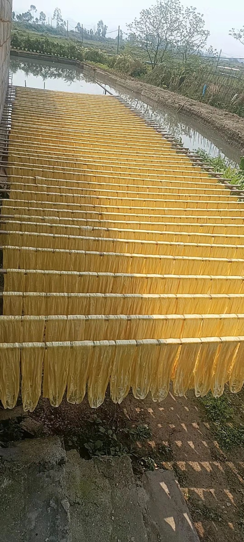 广西精品腐竹，厂家直供，品质保证，货源充足，全国发货