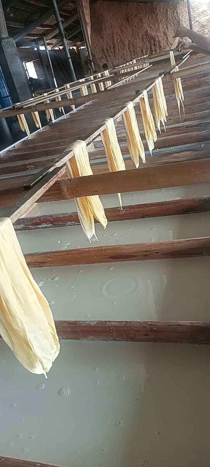 广西精品腐竹，厂家直供，品质保证，货源充足，全国发货