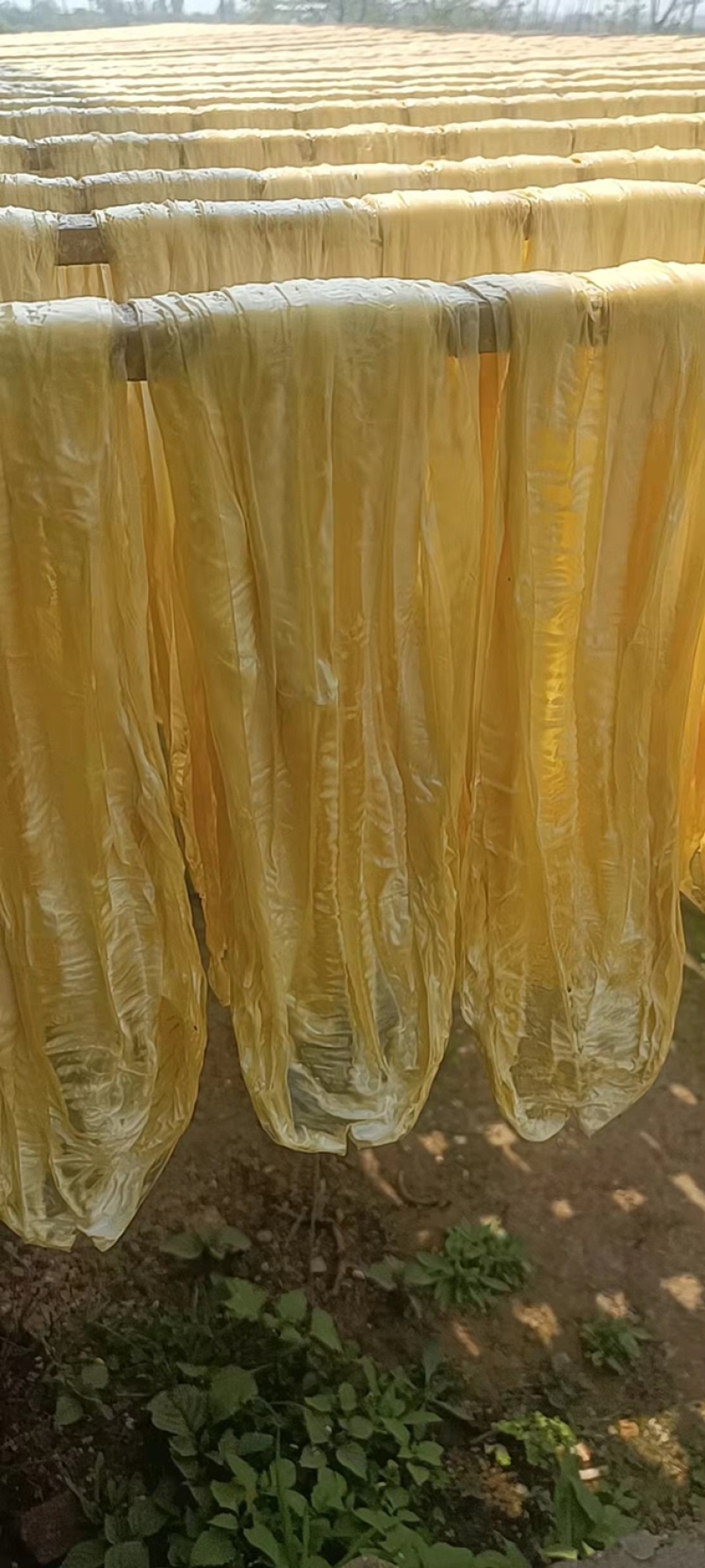 广西精品腐竹，厂家直供，品质保证，货源充足，全国发货