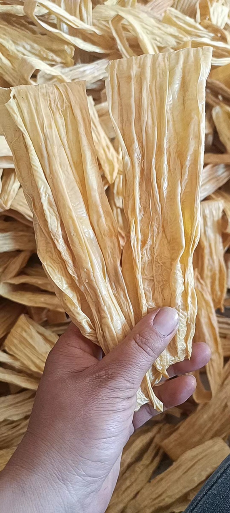 广西精品腐竹，厂家直供，品质保证，货源充足，全国发货