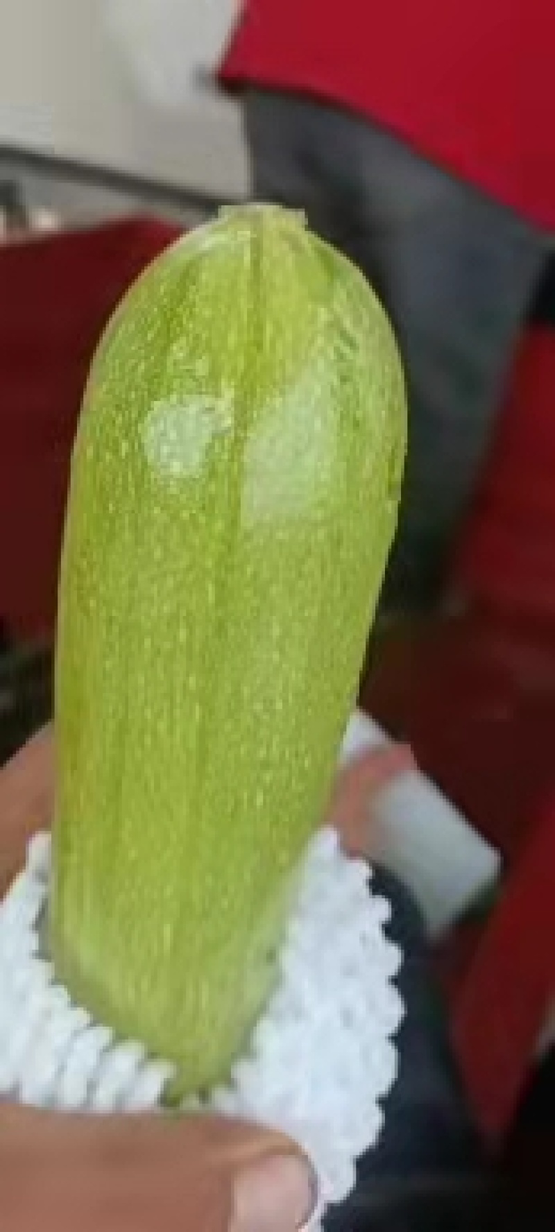 西葫芦
