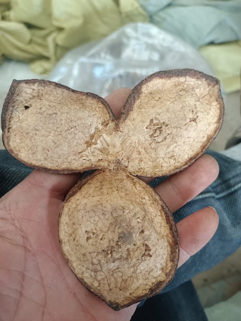 三花陈皮，湖北宜昌大量产地三花青陈皮供应