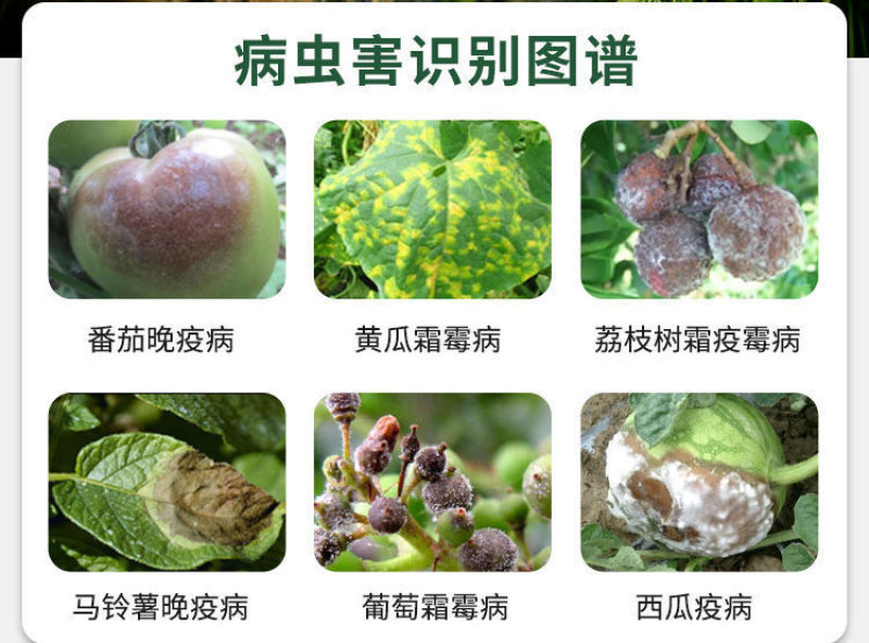 10%氰霜唑霜霉病疫病专用杀菌剂黄瓜葡萄西甜瓜霜霉病杀菌