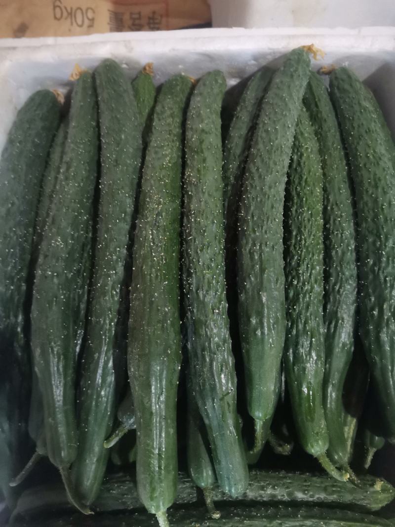 精品黄瓜