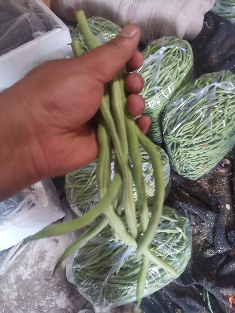 精品架豆