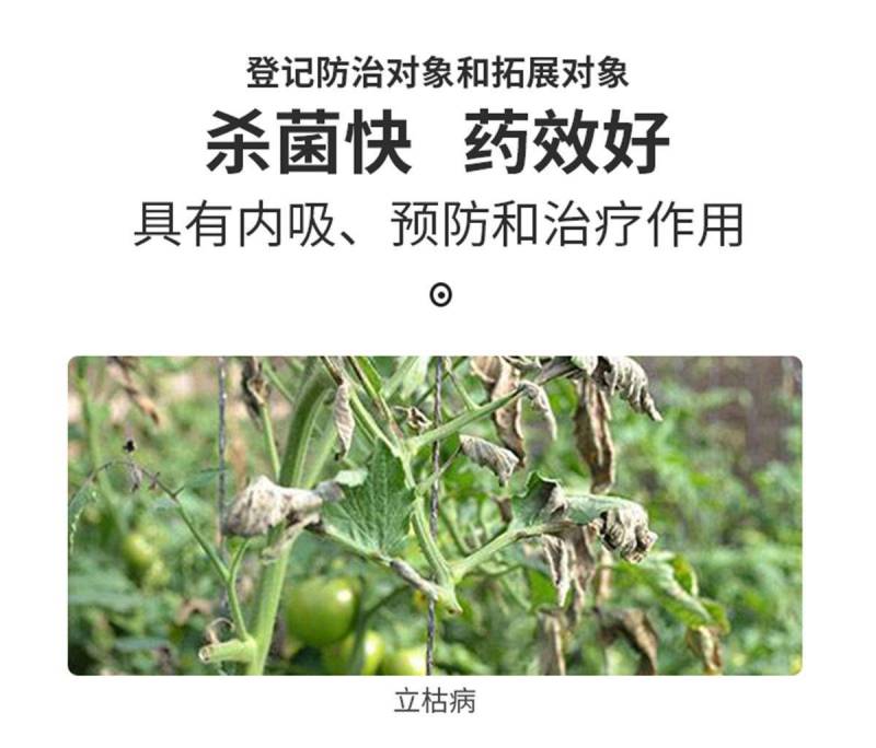 甲霜噁霉灵根腐病立枯病专用杀菌剂黄瓜辣椒草莓根腐病死苗