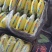 莘县甜瓜博洋61脆甜多汁品种齐全产地直销量大从优