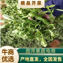 荠菜供应，大量供应市场，加工厂，电商，社区