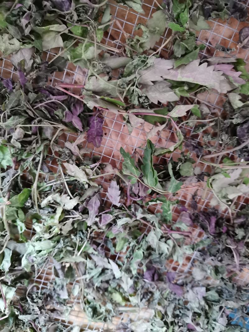 莓茶！藤婆茶！广西野生花草茶